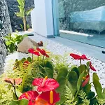 Rocavista - With Heated Rooftop Pool And Amazing Ocean View Costa Adeje (Tenerife)