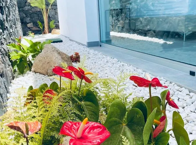 Rocavista - With Heated Rooftop Pool And Amazing Ocean View Costa Adeje (Tenerife)